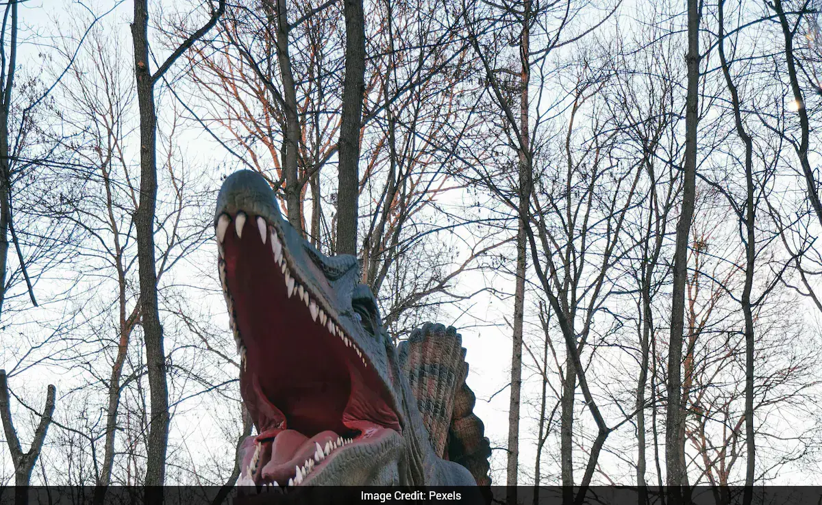 Scientists Find Fossils Of Southeast Asia's Giant Dinosaur In Thailand