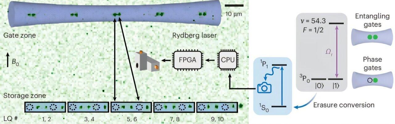 How quantum circuits based on neutral atoms could find and fix errors