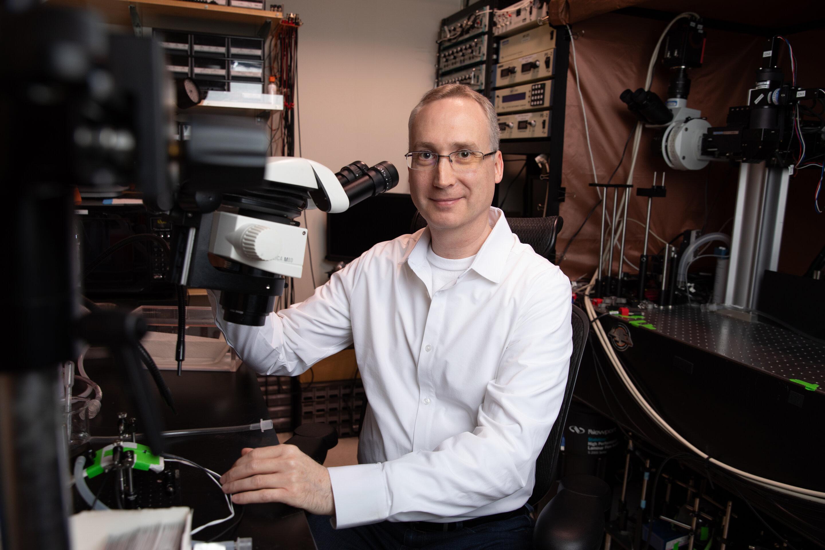 Scientists visualize cellular life with greater precision