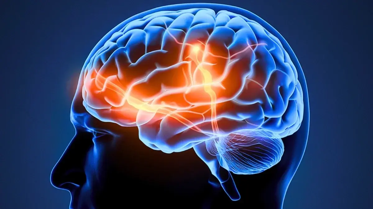 Your Brain Really Can Learn to Multitask – And Scientists Just Revealed How